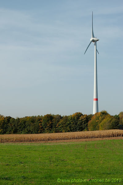 2012-10-19-0004.jpg
