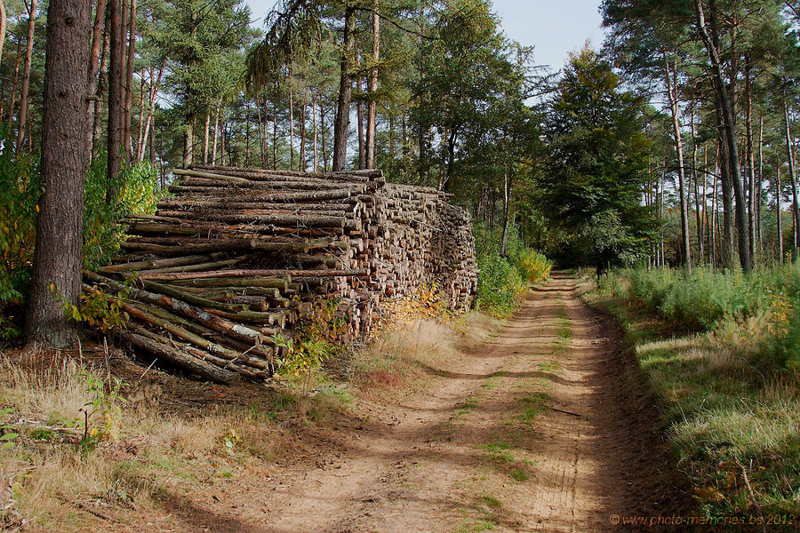 2012-10-19-0007.jpg