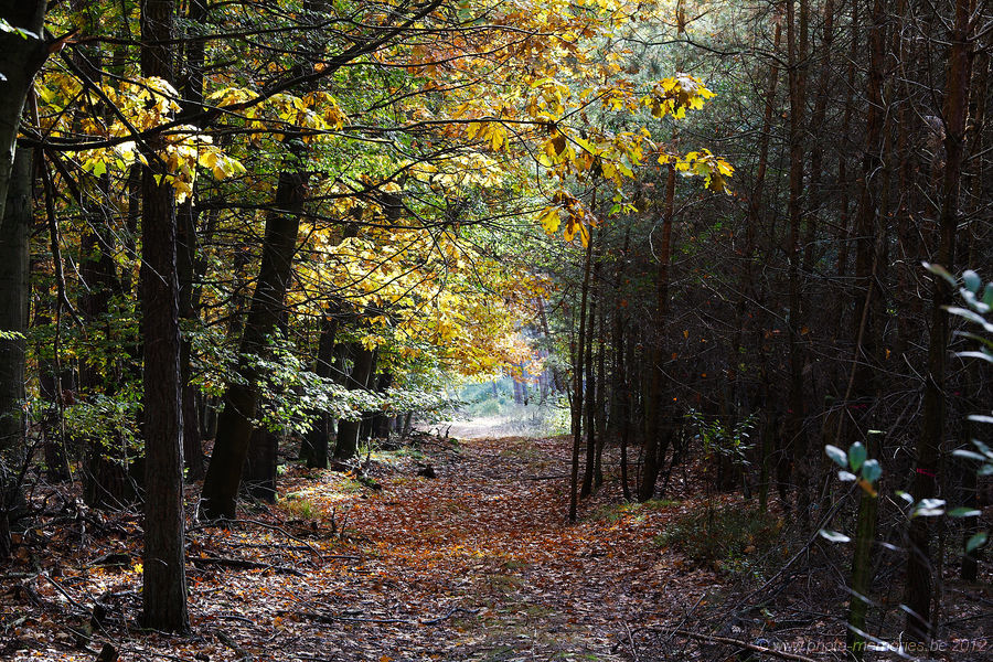 2012-10-19-0008.jpg