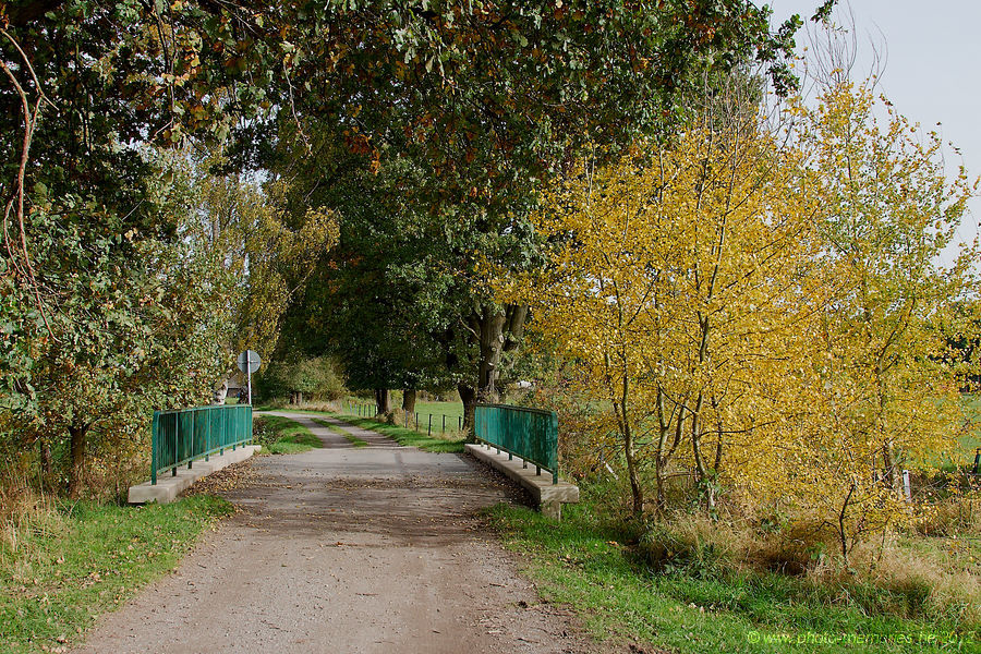 2012-10-19-0010.jpg