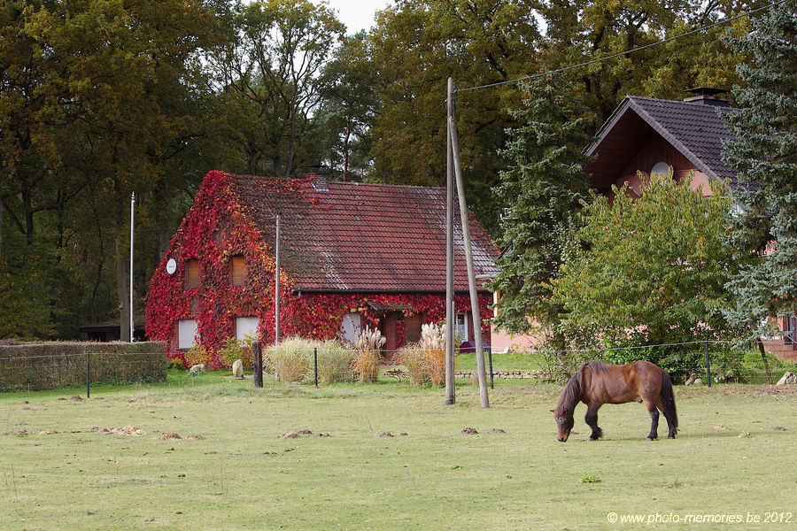 2012-10-19-0015.jpg