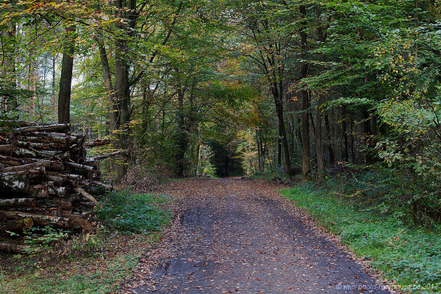 2012-10-20-0019.jpg