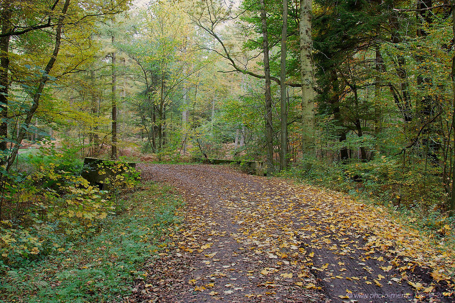 2012-10-20-0020.jpg