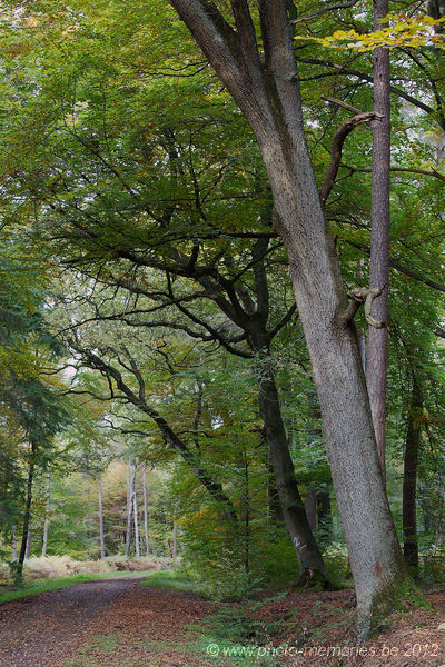 2012-10-20-0021.jpg