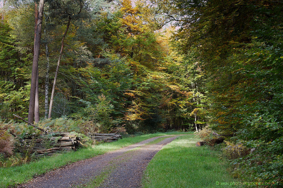 2012-10-20-0022.jpg