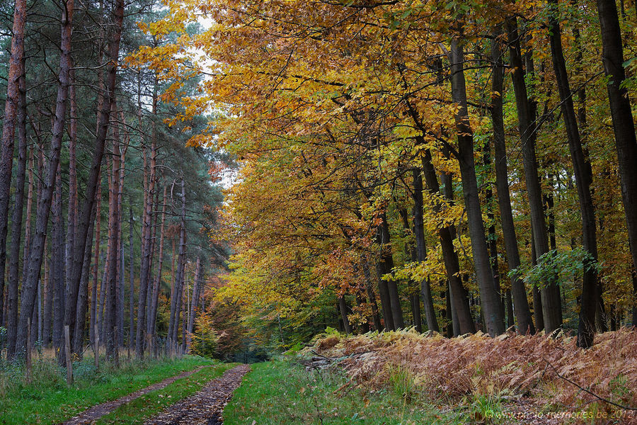 2012-10-20-0025.jpg
