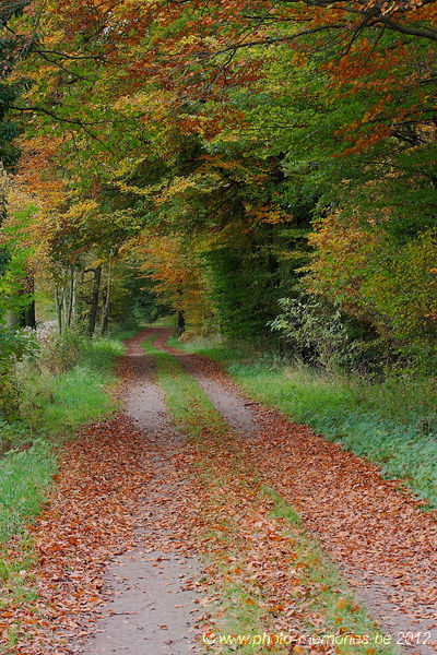 2012-10-20-0028.jpg