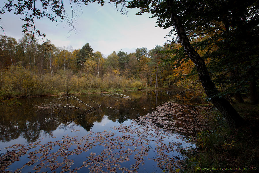 2012-10-20-0030.jpg