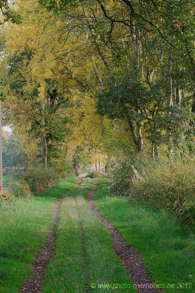 2012-10-20-0032.jpg
