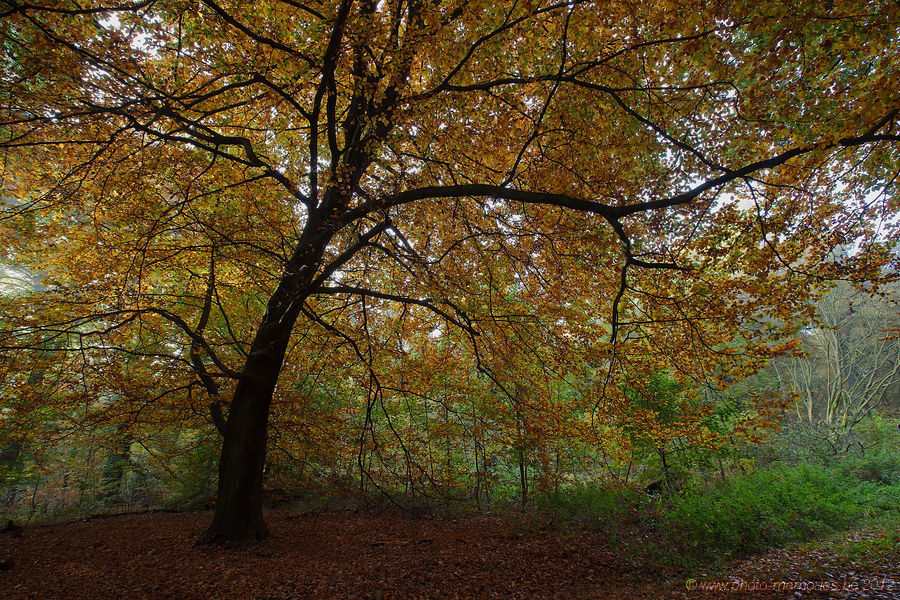 2012-10-21-0035.jpg