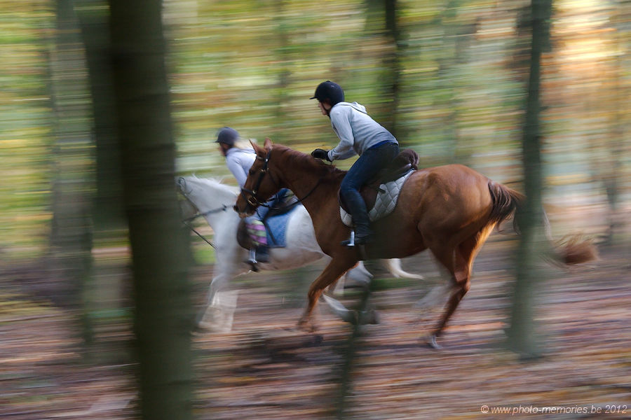 2012-10-21-0037.jpg