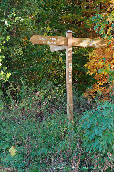 2012-10-21-0038.jpg