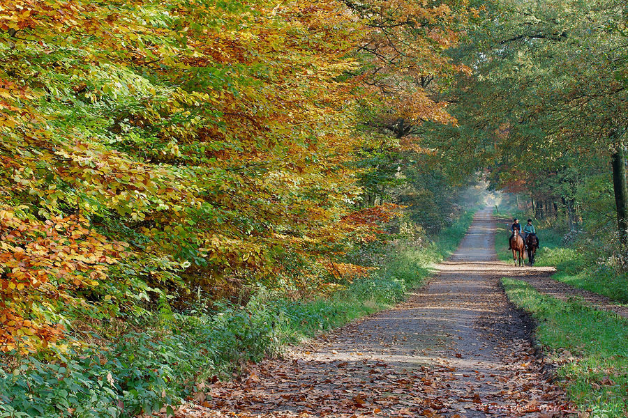 2012-10-21-0040.jpg