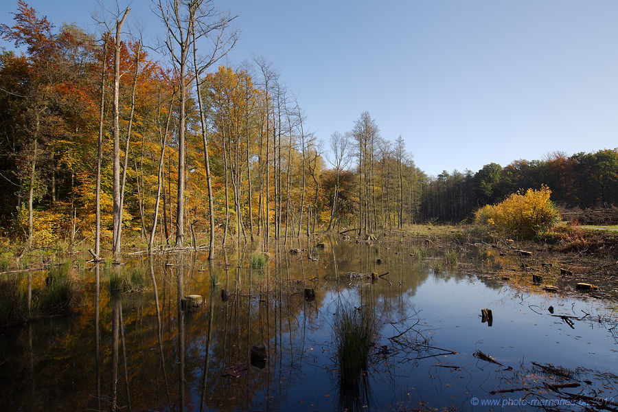 2012-10-21-0045.jpg