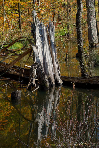 2012-10-21-0046.jpg