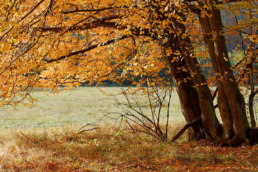 2012-10-21-0047.jpg
