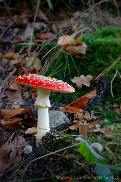 2012-10-21-0048.jpg
