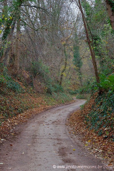 2012-11-23-0004.jpg