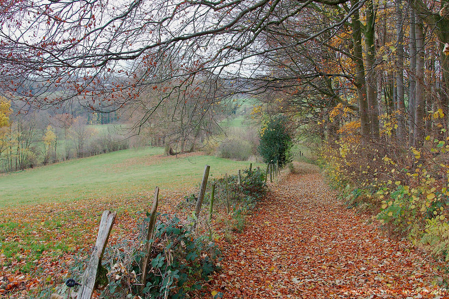 2012-11-23-0007.jpg