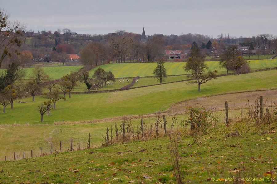 2012-11-23-0008.jpg