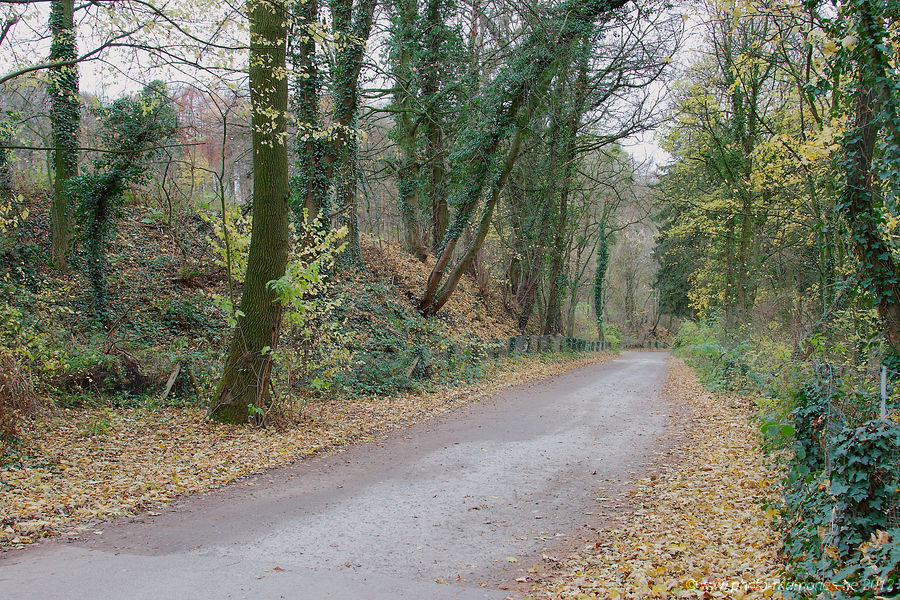 2012-11-23-0010.jpg