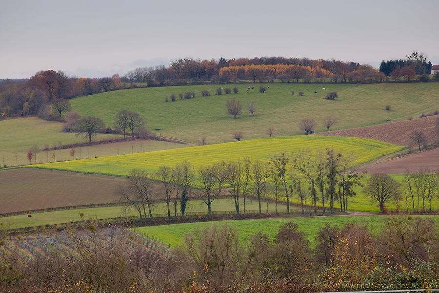 2012-11-23-0011.jpg