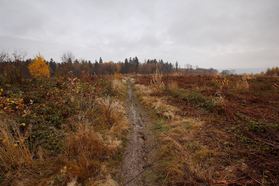 2012-11-24-0023.jpg