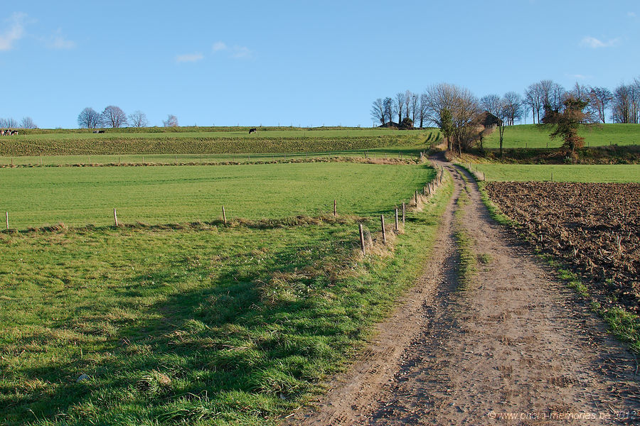 2012-11-25-0077.jpg
