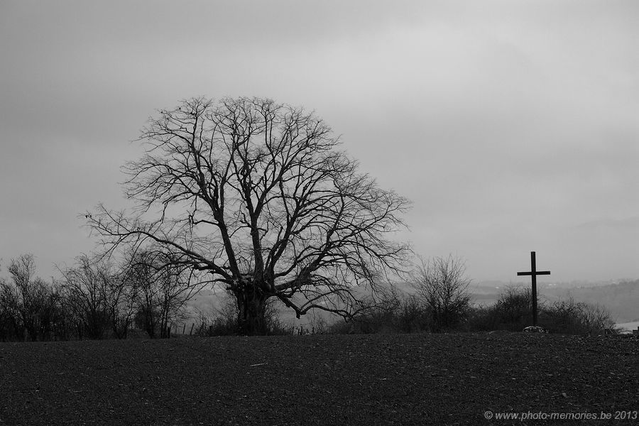 2013-01-12-0015.jpg