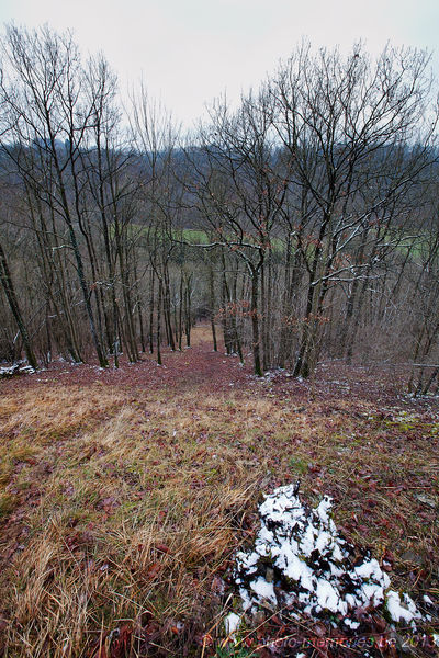 2013-01-12-0017.jpg
