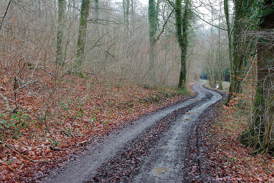 2013-01-13-0028.jpg