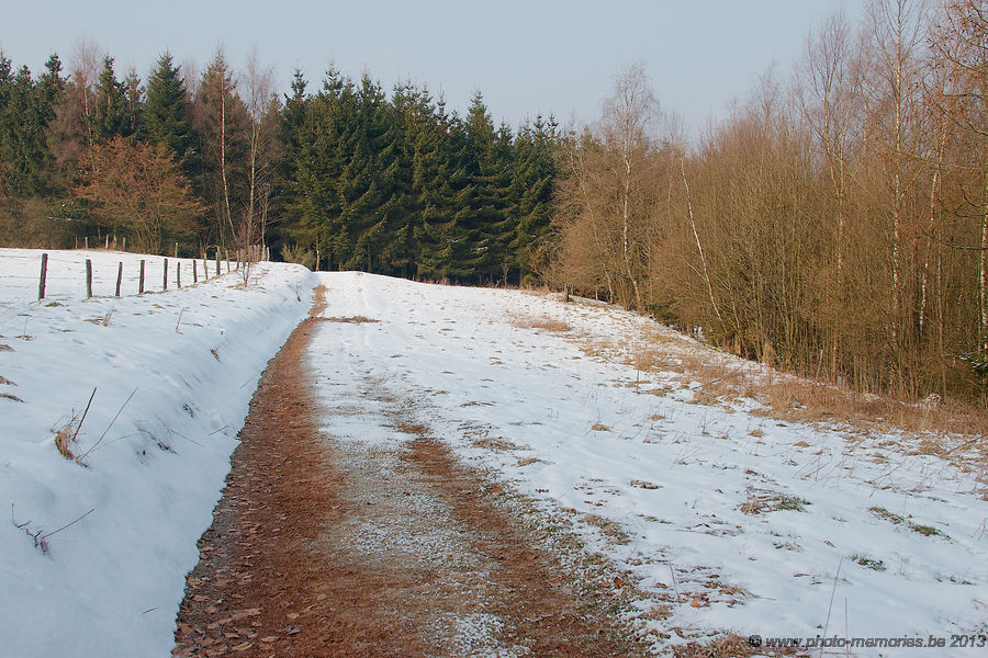 2013-03-30-0006.jpg