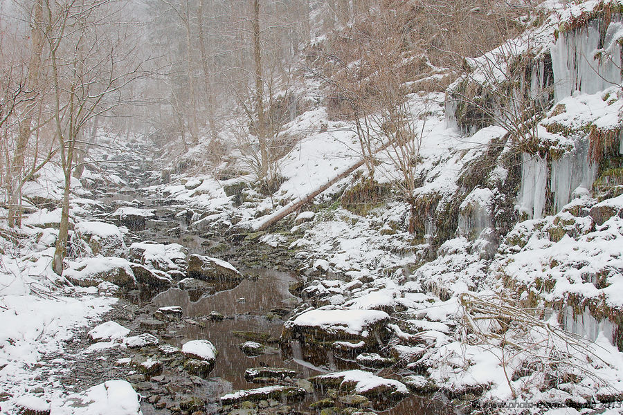 2013-03-31-0040.jpg
