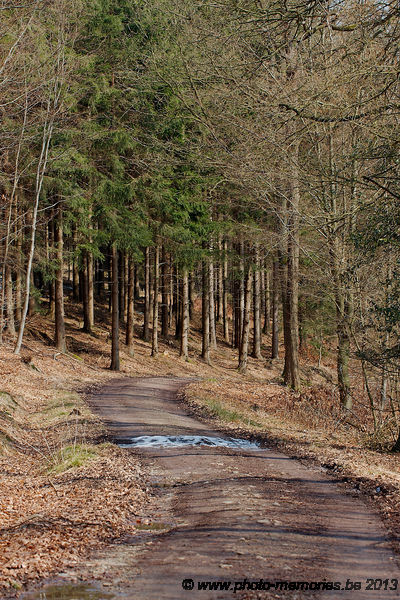 2013-04-01-0076.jpg