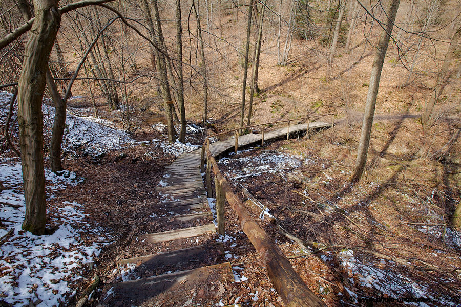 2013-04-01-0078.jpg