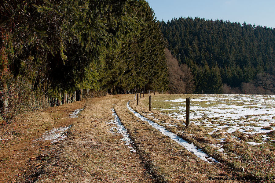 2013-04-02-0085.jpg
