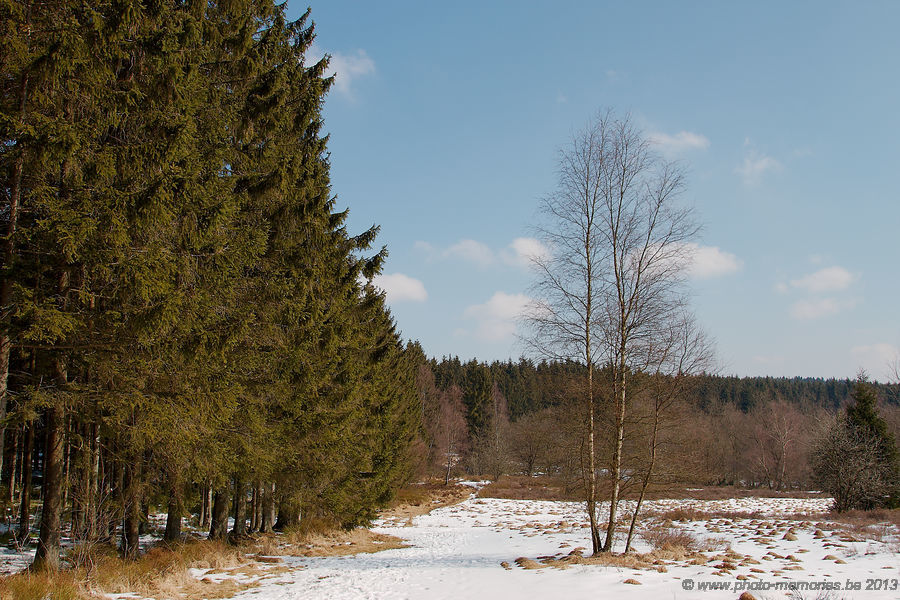 2013-04-02-0094.jpg