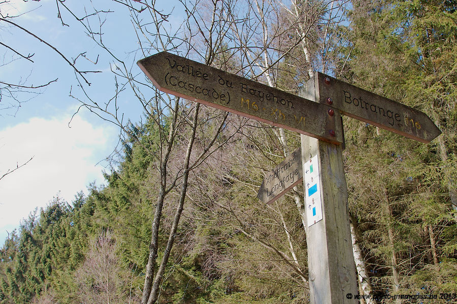 2013-04-02-0096.jpg