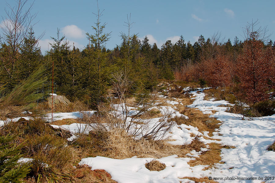2013-04-02-0098.jpg