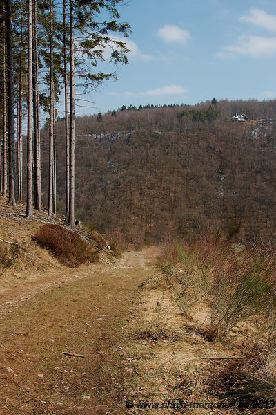 2013-04-02-0109.jpg