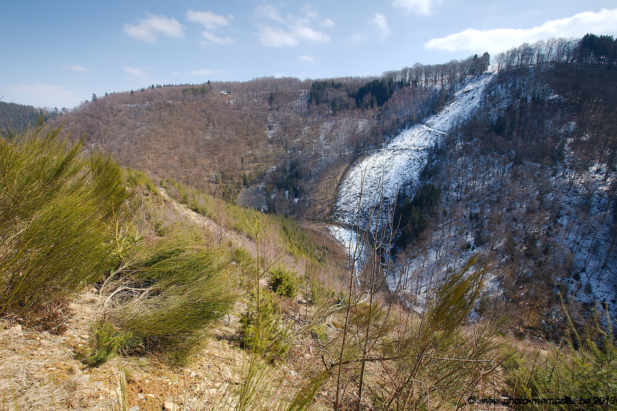 2013-04-02-0110.jpg