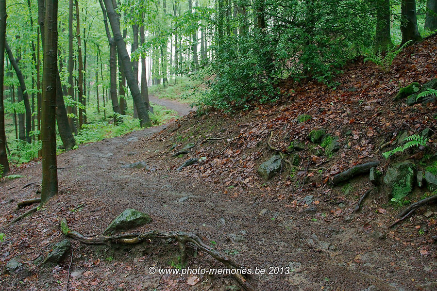 2013-05-20-0055.jpg