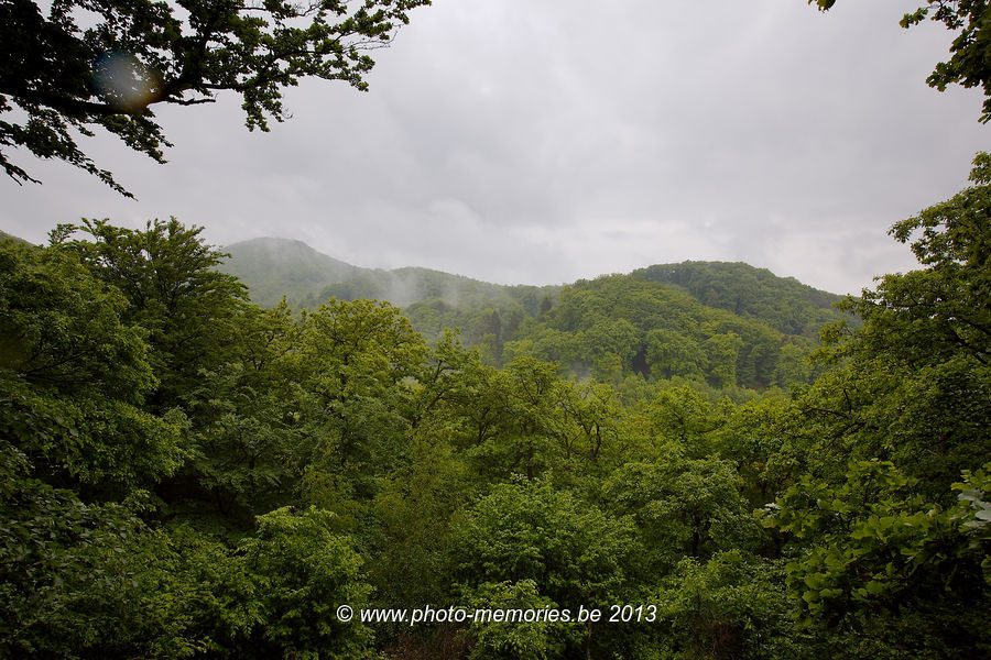 2013-05-20-0058.jpg