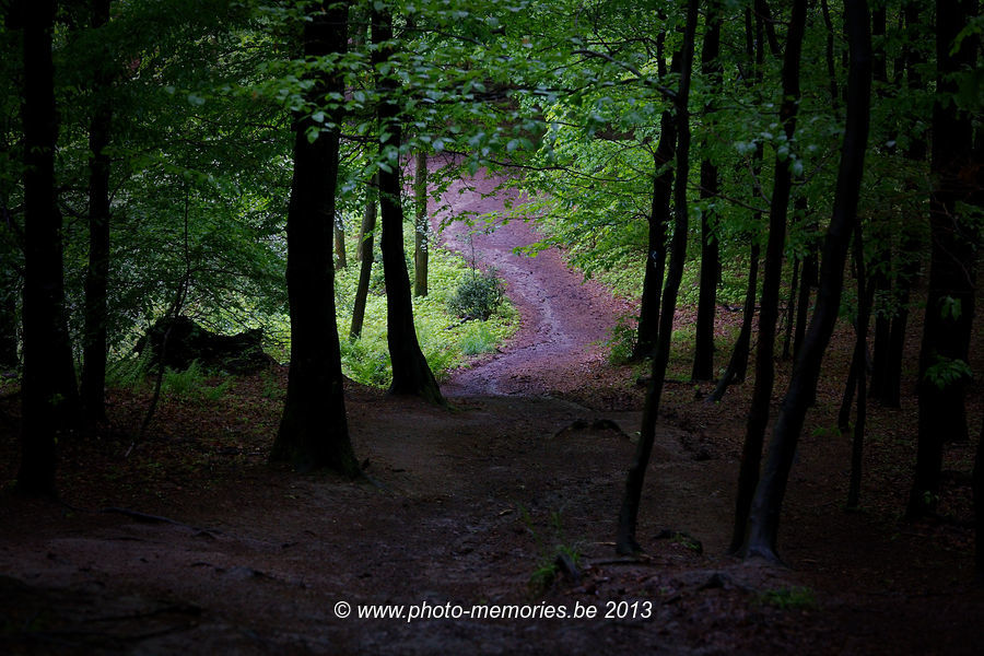 2013-05-20-0062.jpg