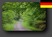 album aegidienberg 2013