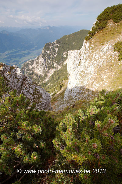 2013-08-31-0010.jpg