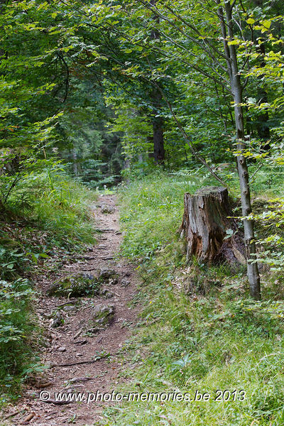 2013-09-06-0138.jpg