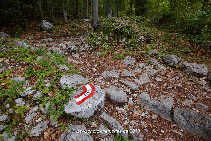 2013-09-07-0147.jpg