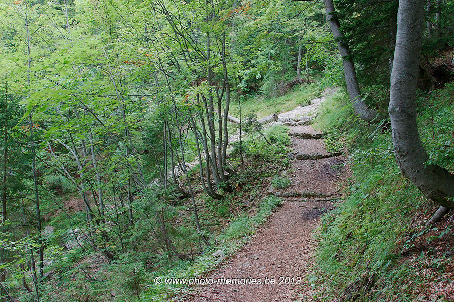 2013-09-07-0150.jpg