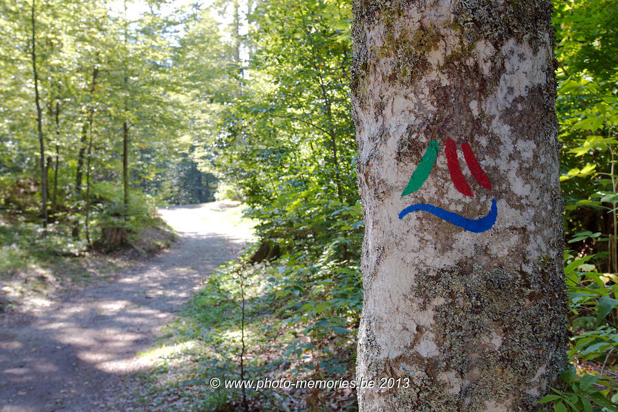 2013-09-07-0157.jpg
